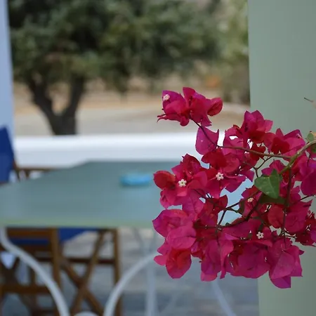 بيت للعطل Maximos House